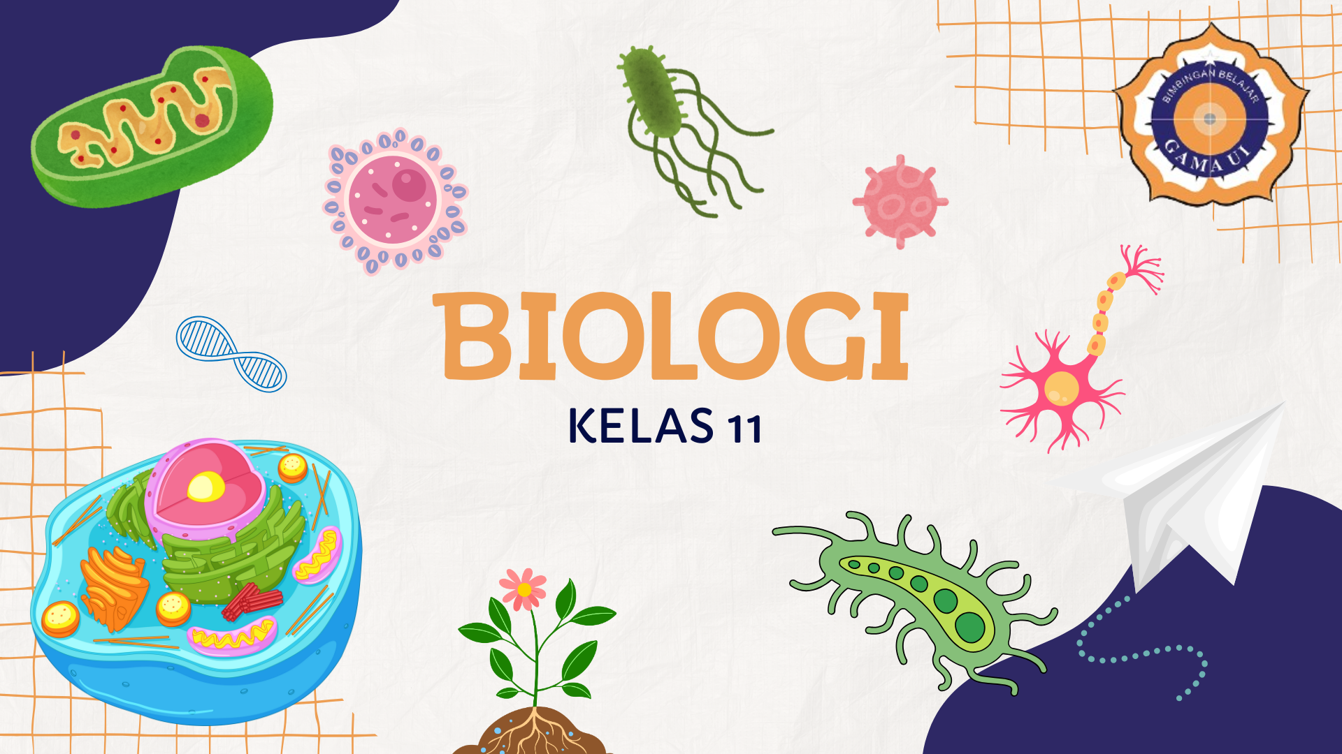 Biologi - Kelas 11 SMA